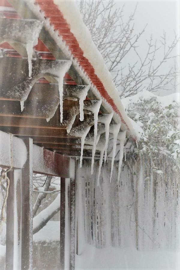 Si-Har Chalets Nimrod Kültér fotó